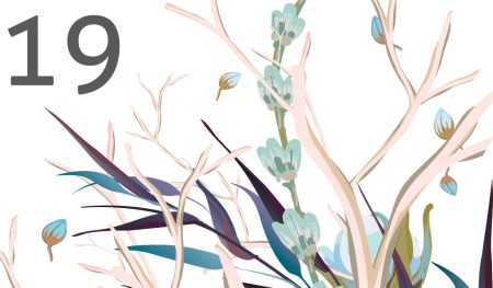 pregnancy-counselling-link-news-6